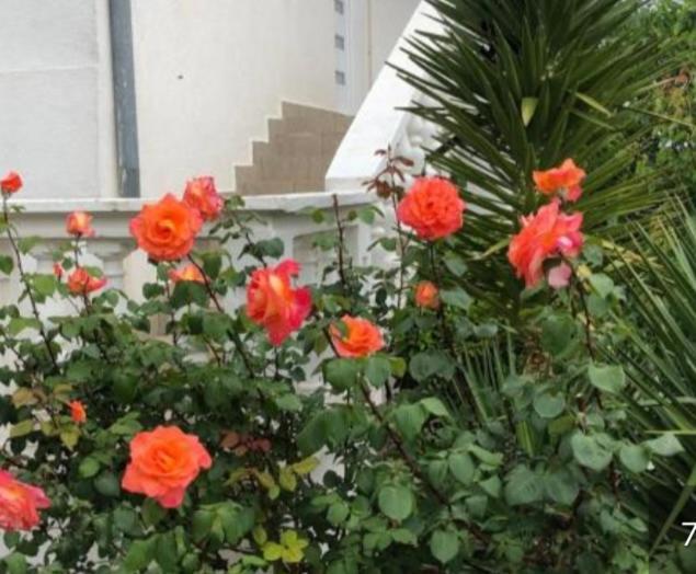 Apartment Raslina Luaran gambar