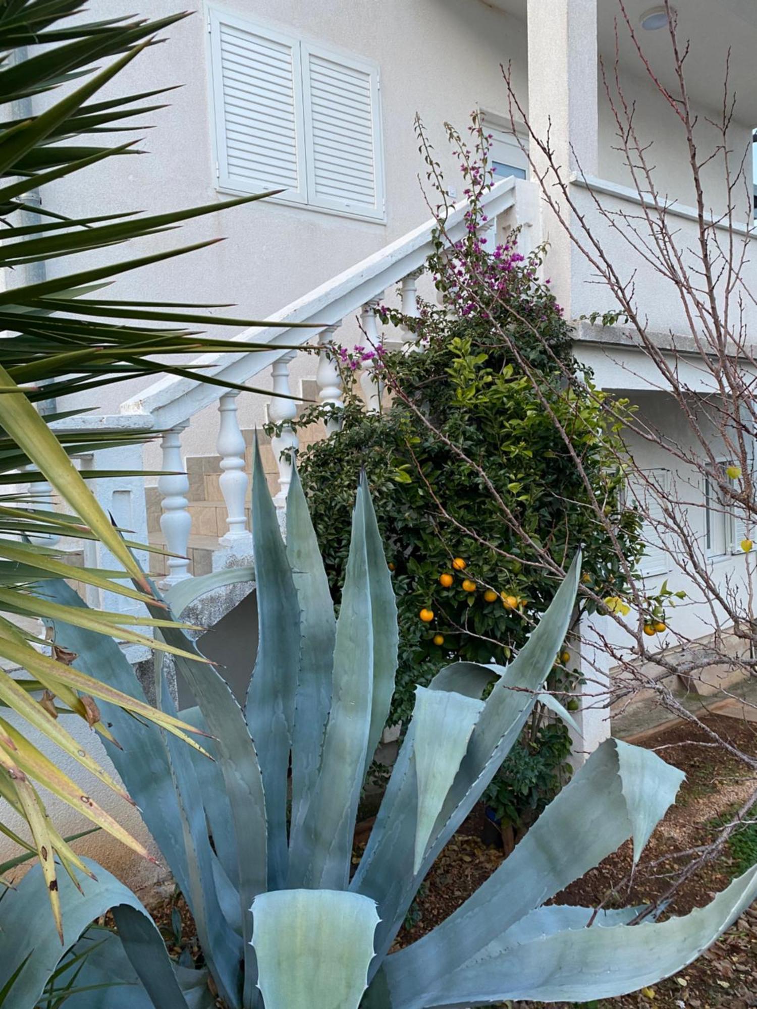 Apartment Raslina Luaran gambar